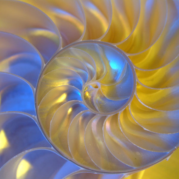 OmmaniCenter-186842471